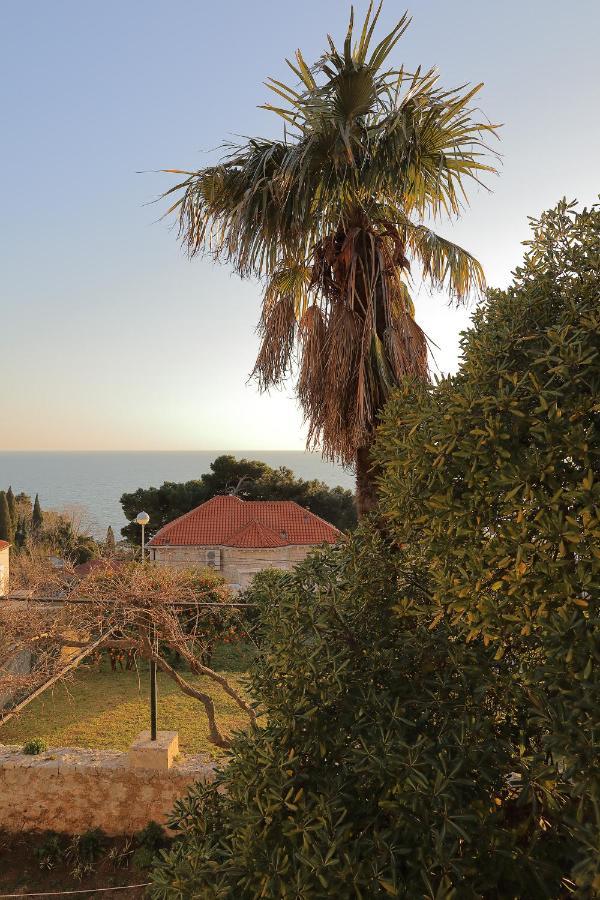Studio Apartments Kalma Dubrovnik Eksteriør billede